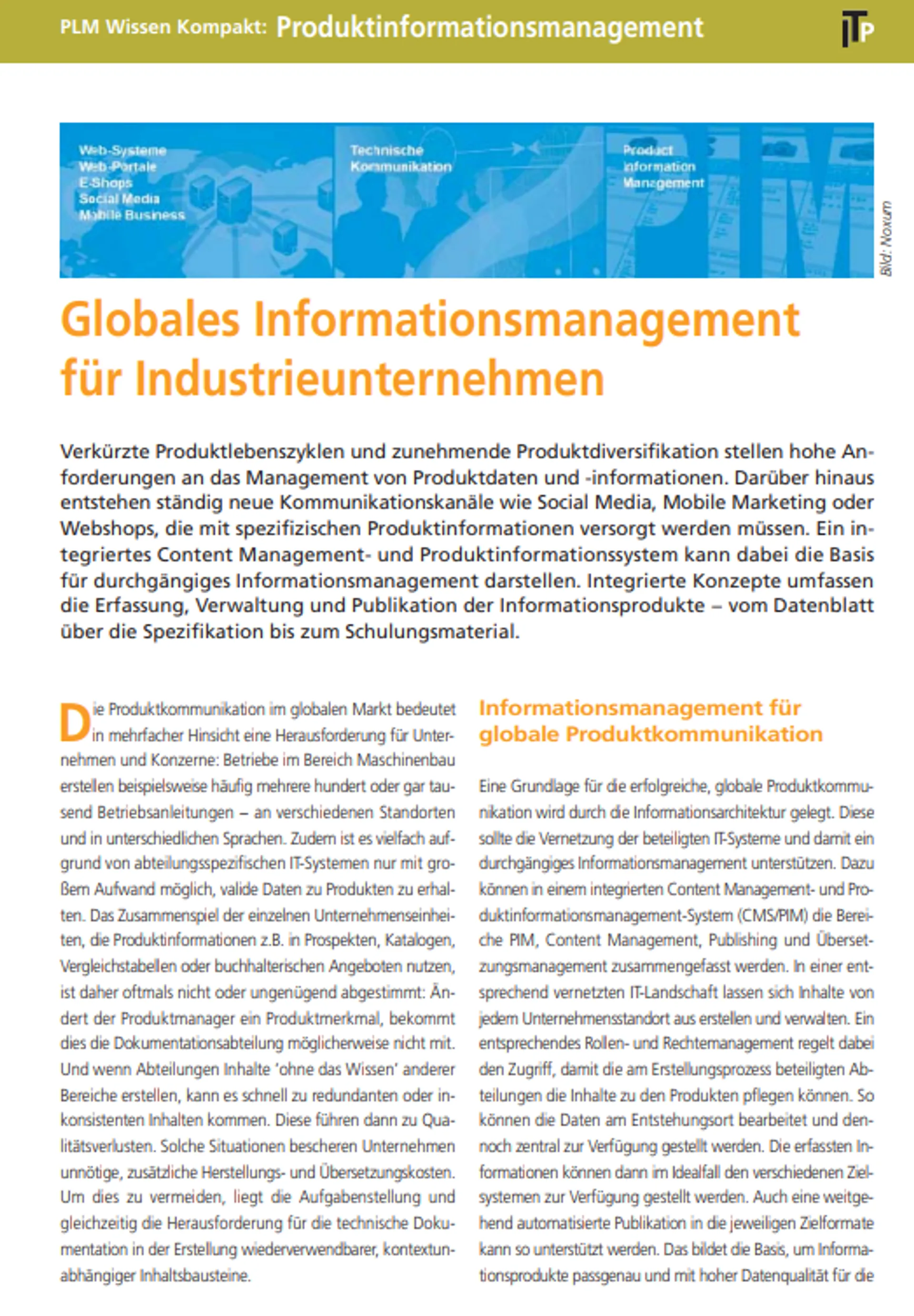 Globales Informationsmanagement für Industrieunternehmen